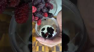 Tự làm Yogurt dâu tằm cho mùa cực nóng của ông Anh thích nấu ăn #short #tiktok