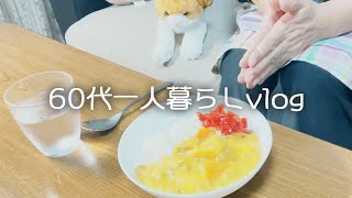 【年金生活】1か月の生活費をすべて公開します/節約生活/昔懐かしい母のカレーライス【60代一人暮らし】#45