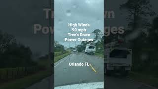 High Winds Topple Trees - Hurricane Ian Orlando FL