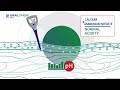 calcium ammonium nitrate by uralchem group