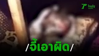 จี้เอาผิดหนุ่มโพสต์จับแมวให้งูกิน | 12-08-62 | ข่าวเย็นไทยรัฐ