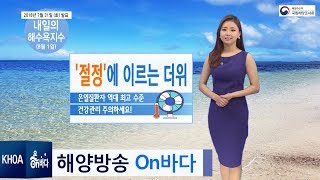 [내일의 해수욕지수] 8월 1일 역대 최고 수준의 온열질환자들이 발생해 / 해양예보 On바다