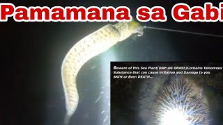 Vlog#40-Pamamana(SPEARFISHING)Nakahuli ng Malaking MORRAY Eel | BUHAY SPEARO | SUSTAINABLE FISHING |