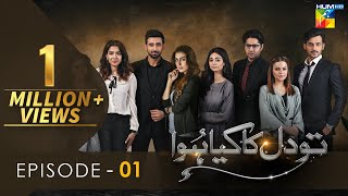 Tou Dil Ka Kia Hua - Episode 01 - [HD] - { Ayeza Khan - Sami Khan - Zahid Ahmed } - HUM TV Drama