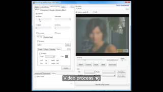 Media Player SDK / SDK .Net - Video playback