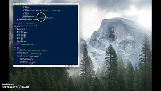 CSC 110 Project Wellman