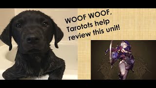 War Visions WOTV Shadowlynx Review, She Enjoys Vanilla Flan I hear!