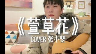 吉他弹唱《你好李焕英》插曲《萱草花》cover张小斐