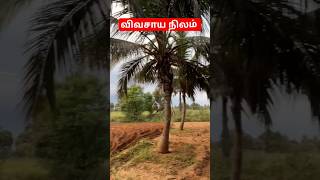 #9087808501 Low budget agriculture land sales #saleland விவசாய நிலம் விற்பனைக்கு