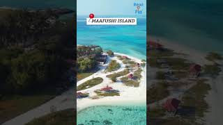 Maldives - The Summer Destination | Best Places in Maldives | Travel Guide| #shorts