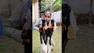 আমার কাছে ছাগল আছে 🐔🦤🐕🐱 #লায়ন আছে #funnyshorts #viralvideo #comedy #funnyvideo 🤪🤣 #foryou