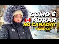 Como é morar no CANADÁ? Assim é a vida em Montreal Dia a dia, francês, transporte, eventos gratuitos