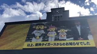 阪神タイガース⚾️中日ドラゴンズ出場登録メンバー発表🏟21.9.18甲子園球場✨ココパーク