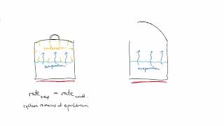 Open and closed systems | Equilibrium | meriSTEM