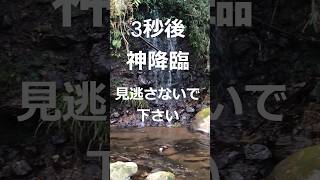 3秒後　神降臨　瀧川神社　瀬織津姫　#神社 　#開運  #神様