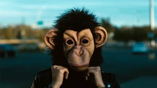 MikeZup - Monkey See Monkey Do (Official Video)