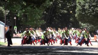 早稲田大学踊り侍\