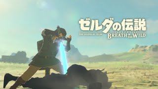 【ゼルダの伝説BotW】オリジナル技「とどめ」の紹介