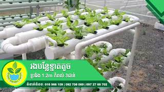 រងបន្លែខ្នាតតូច ប្រវែង 1.2m 3 levels , Hydro khmer, Rack of vegetable , hydroponic Cambodia