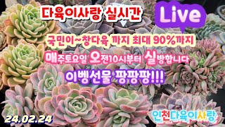 다육이사랑 010 6301 7814 라이브판매/국민이 창다육 착하게/