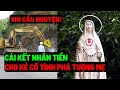 Tin Mới! Bất Ngờ Chuyện Lạ Có Thật Xảy ra Tại Giáo Phận Kontum - Tạ Ơn Chúa