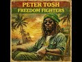 Roots Reggae (1943) [Unreleased Album] Peter Tosh – Freedom Fighters