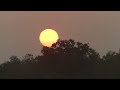 kanha national park kanha tiger reserve india part 4 of india and sri lanka trip