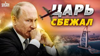 Дела совсем плохи: из России сбежал царь! Обиженный Путин приперся на поклон в ОАЭ