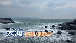 大海(吉他彈唱)