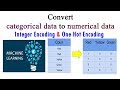 How to convert categorical data to numerical data in machine learning (2 methods)