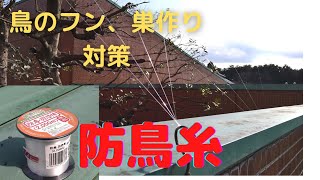 【鳥よけ対策】悩ませる‼鳥のフン、巣作り。防鳥糸張りで建物守る