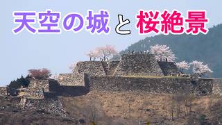 4K Spectacular view of Cherry blossoms and  Japanese Castles in Hyogo! / Beautiful Scenery of Japan