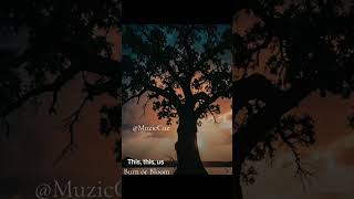 Burn or Bloom @MuzicCue