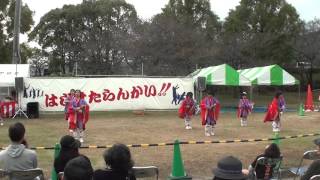 みつの踊り子　３　2015　たつのふるさとフェスタ　お祭りひろば