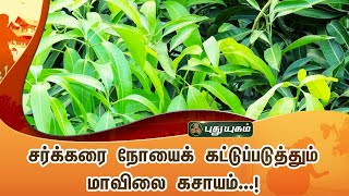 சர்க்கரை நோயைக் கட்டுப்படுத்தும் மாவிலை கசாயம்...! | Dr.Jayaroopa | Iniyavai Indru