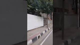 Dhaka Uttara Road #shorts #youtubeshorts