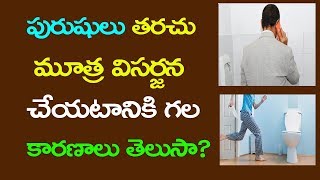 పురుషులు తరచు మూత్ర విసర్జన చేయటానికి కారణాలు... | Is it normal to pee every hour? | Telugu Mantra