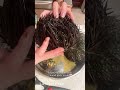 How to open this spiky sea urchin