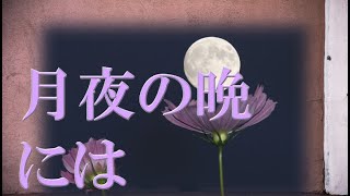 月夜の晩には   南佳孝