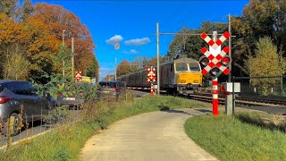 Spoorwegovergang Kalmthout//Begian Railroad Crossing