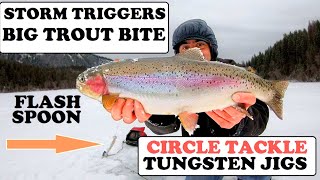 Rainbow Trout Ice Fishing Tips: Flashing Spoon and Tungsten Jig