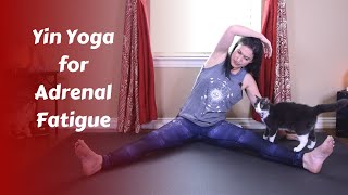 Adrenal Fatigue Yin Yoga - with Guest Aprille Walker from The Yoga Ranger Studio