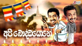 Api Bauddayone (අපි බෞද්ධයොනේ)  | Chooty Malli Podi Malli