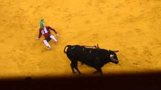 Bullfight nights the Campo Pequeno @ Lisbon