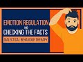 DBT Skills Checking The Facts (Emotion Regulation)