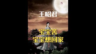 王昭君：她被美化成和平大使，其实内心一直想要回家 #王昭君 #历史 #历史人物故事 #历史故事 #涨知识