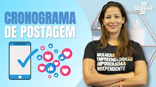 Como criar um cronograma de postagem de sucesso com Fernanda Sala