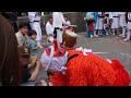 小部白玉神社 獅子舞 今治市 2023 5 28 日 令5