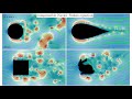 [4k] Aerodynamics of Different Geometries - 2d Navier Stokes Simulation