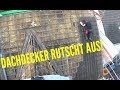 Dachdecker / Abbruch - Dachdecker rutscht aus!😱